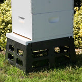 Hive Stand, 10 Frame