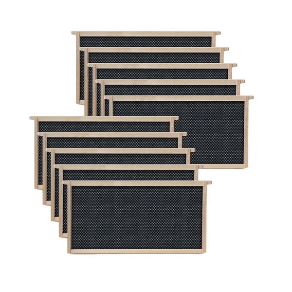 10 Pack Assembled deep frame double wax coated plastic foundation